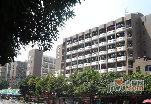 中兴之家实景图图片