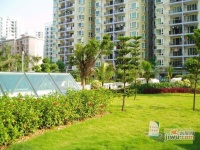 椰风海岸效果图