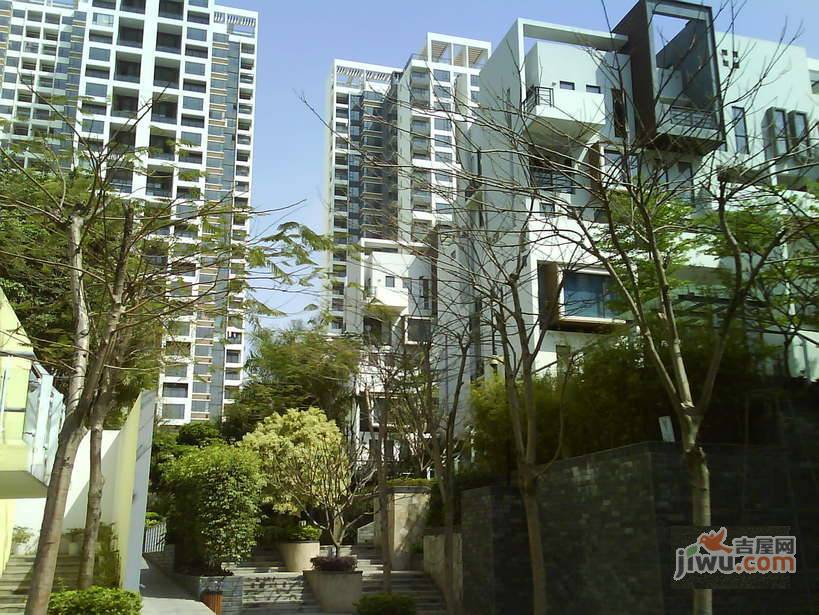 龙城国际实景图图片
