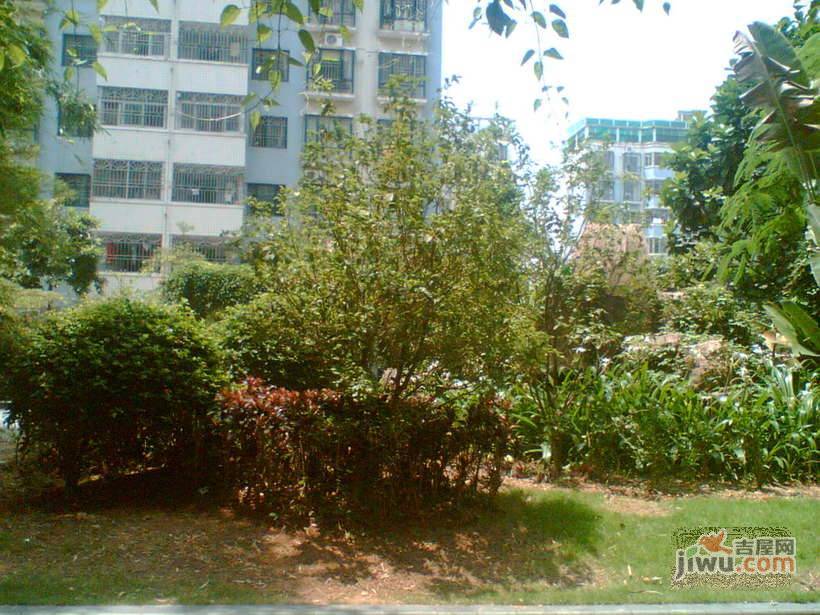 紫薇苑实景图图片