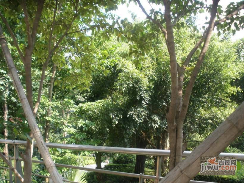 半山兰溪谷二期实景图图片