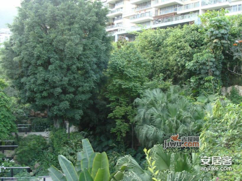 半山兰溪谷二期实景图图片