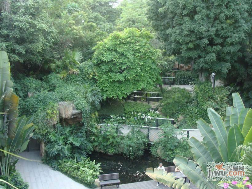 半山兰溪谷二期实景图图片