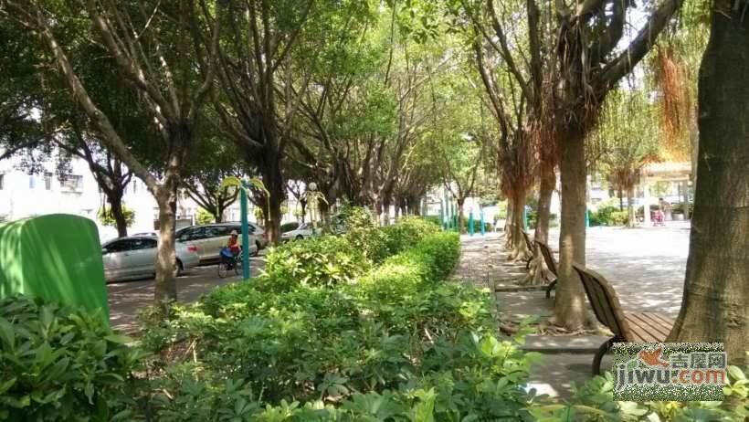 龙联花园实景图图片