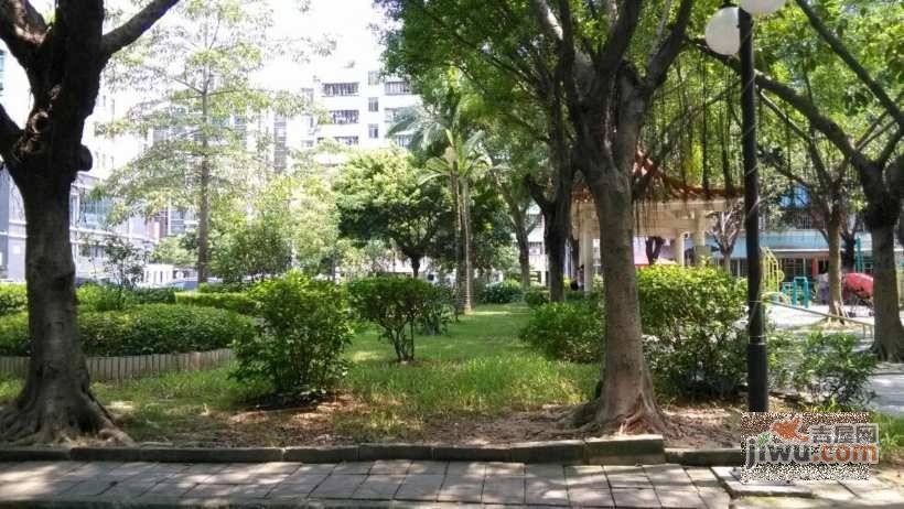 龙联花园实景图图片