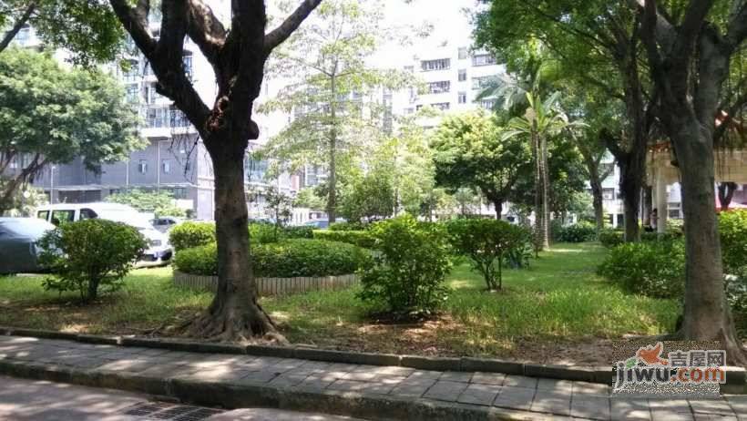 龙联花园实景图图片