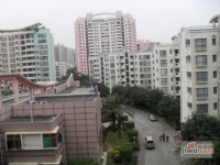 中城康桥花园北区实景图图片