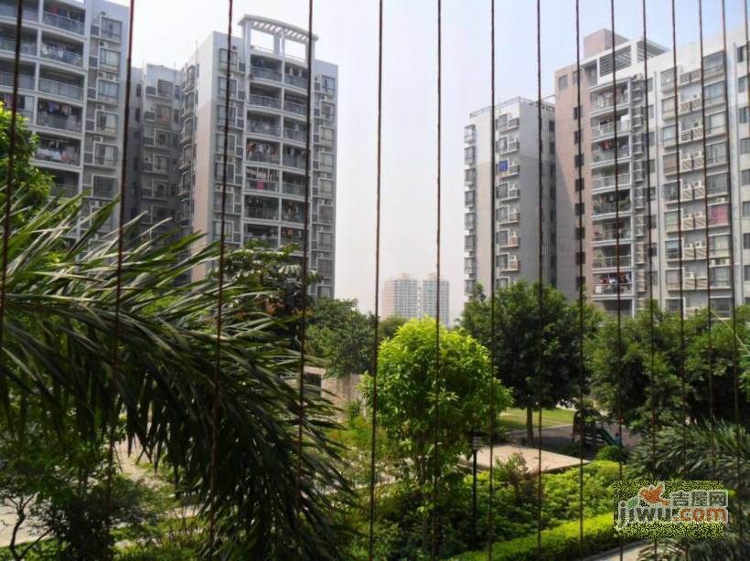 文雅豪庭实景图图片