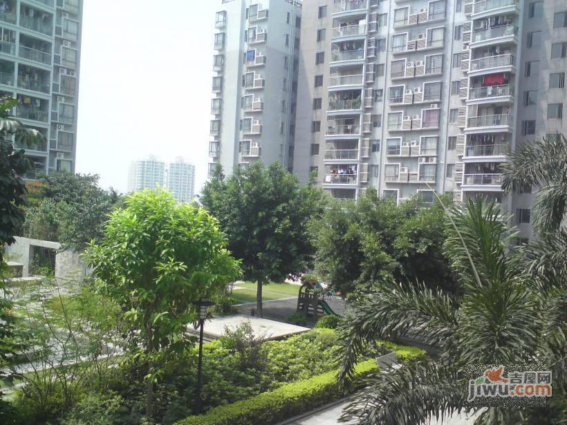 文雅豪庭实景图图片