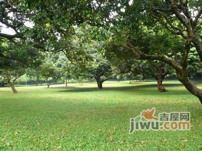 长城盛世家园实景图图片