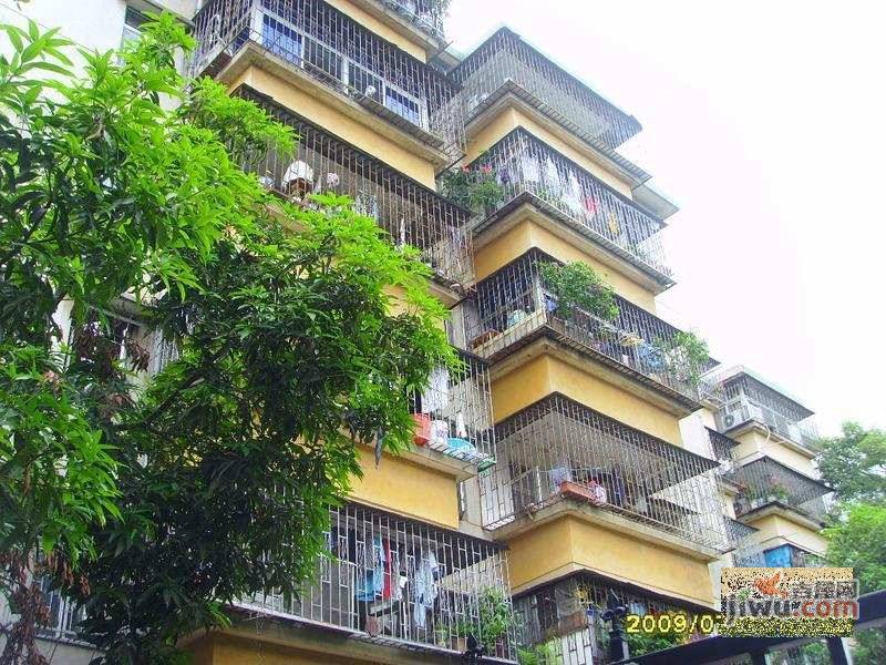 金众小区实景图图片