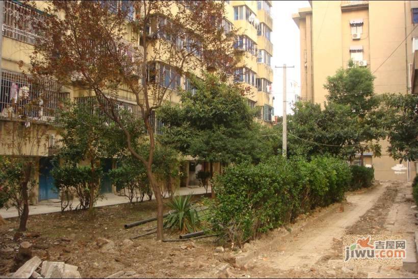 巴桥头小区实景图图片