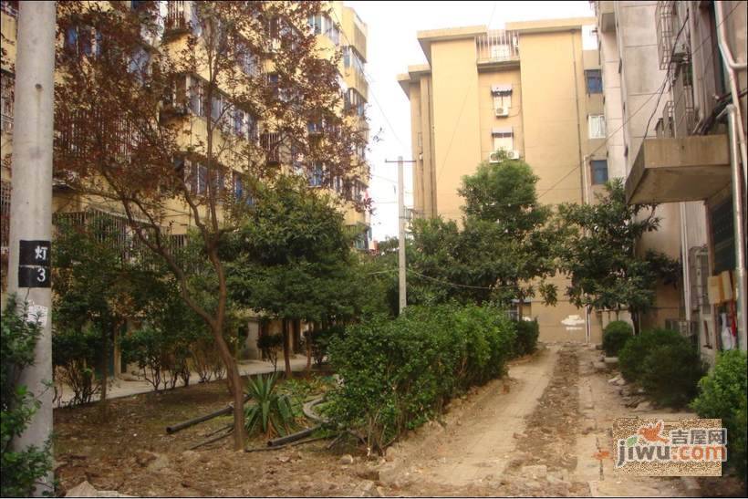 巴桥头小区实景图图片