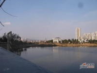 东区铂宫实景图图片