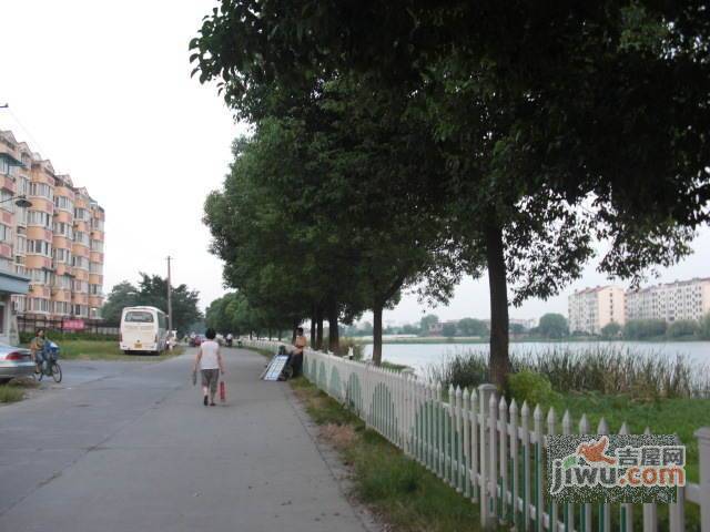 南园新村实景图图片