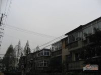 西塘新村实景图图片