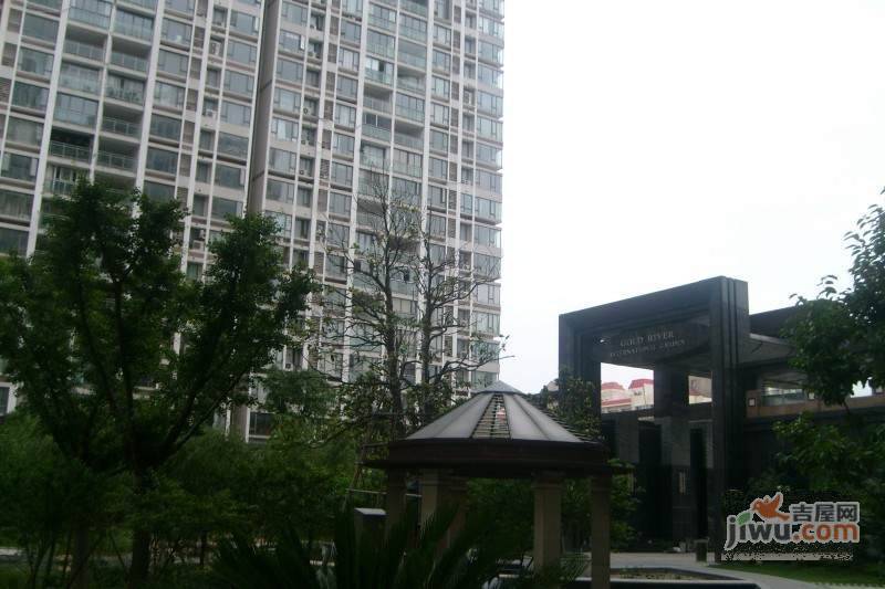 金河国际大厦实景图图片