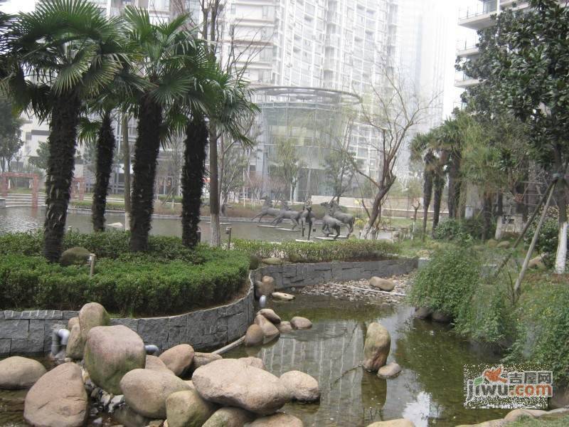 金河国际大厦实景图图片