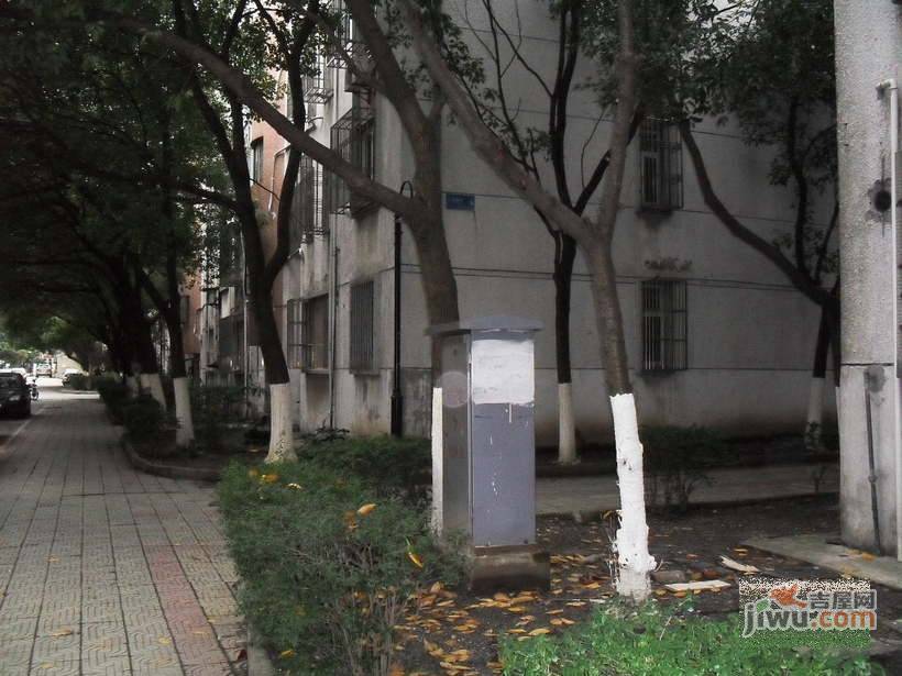 竹苑新村实景图图片