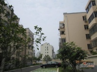 龙港村实景图图片