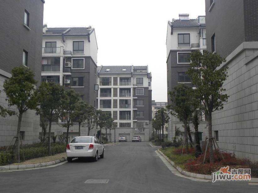 鼎盛花园实景图图片