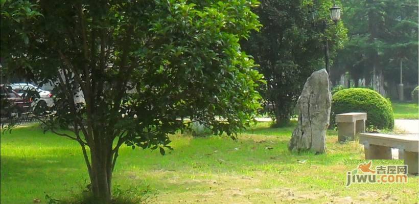 鲈乡三村实景图图片