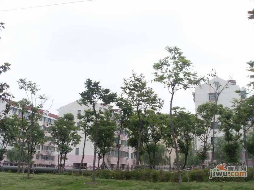 南环新村实景图图片