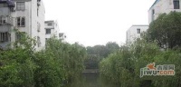 悬珠花园实景图图片