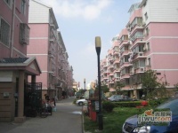 东港二村实景图图片