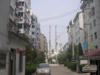 水香七村实景图图片
