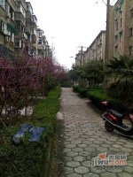 湄长新村实景图图片
