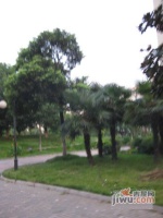 苏都花园实景图图片