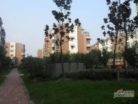 石湖华城实景图图片