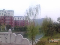 漕湖花园实景图3