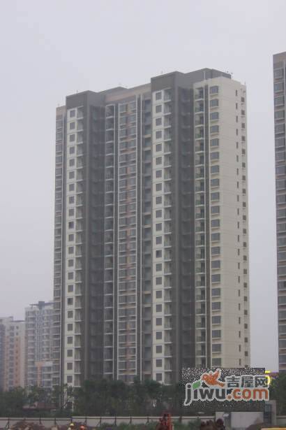 置地悦湖实景图图片