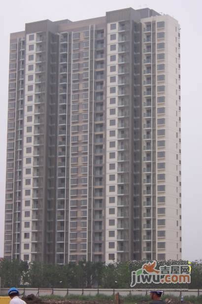 置地悦湖实景图图片