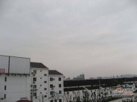 塘湾新村实景图图片