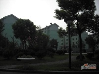 园东新村实景图图片