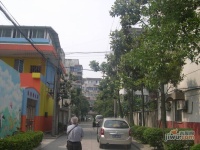 水香五村实景图图片