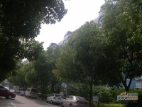 水香六村实景图图片