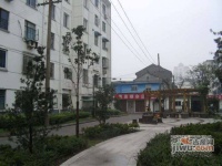 三香新村实景图图片