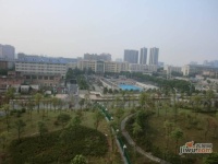 中国联通单位房实景图图片