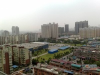 四方商贸城实景图图片