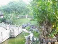 洪山翠园实景图图片