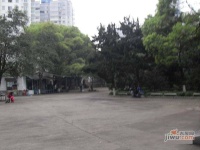 湖南师大医学院宿舍实景图图片