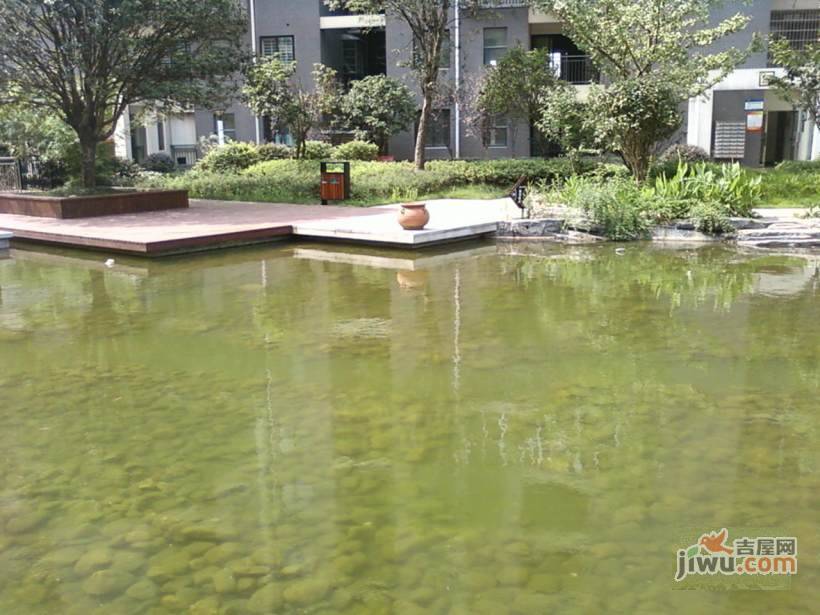 湘城嘉园实景图图片