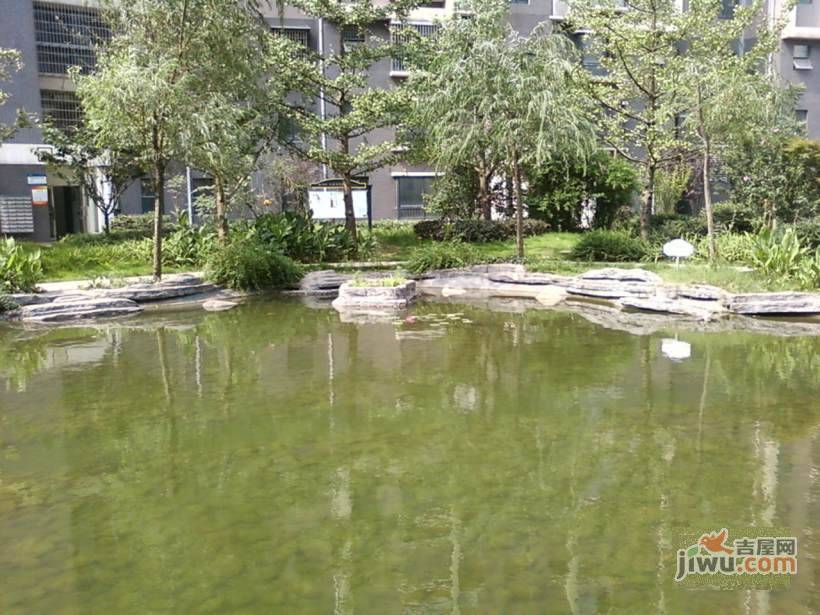 湘城嘉园实景图图片