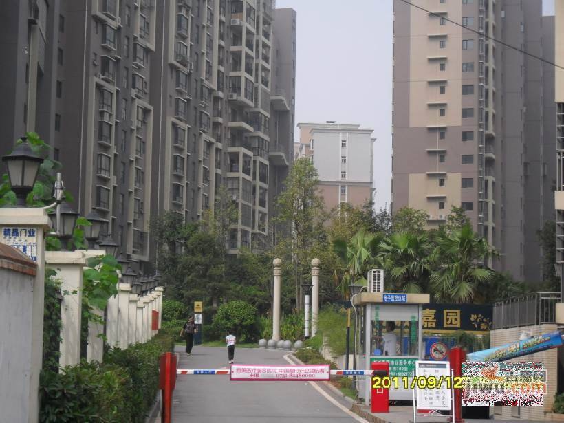 湘城嘉园实景图图片