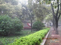 雅塘村小区实景图图片