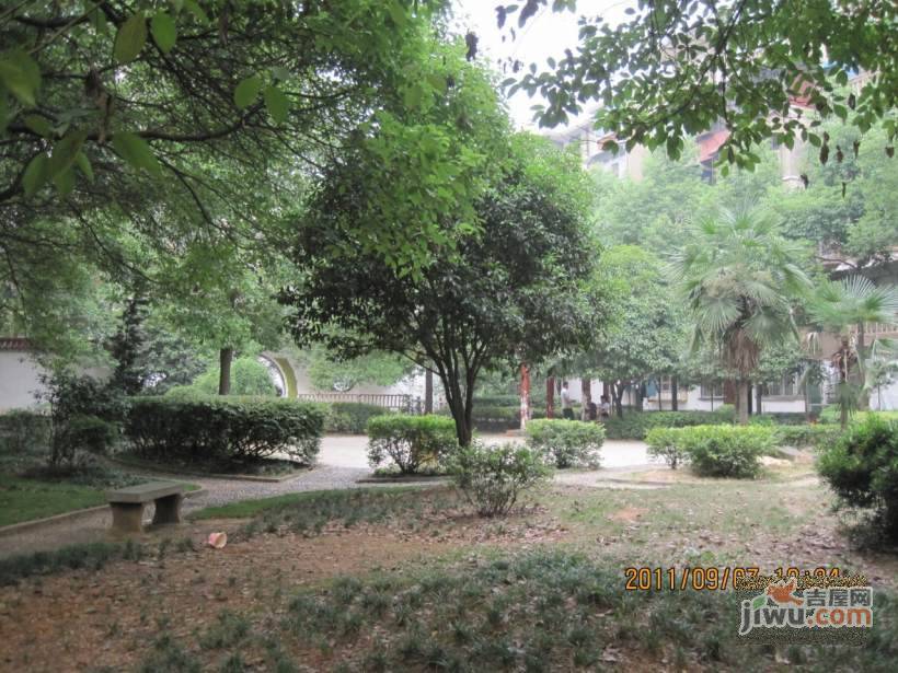 王家冲社区实景图图片